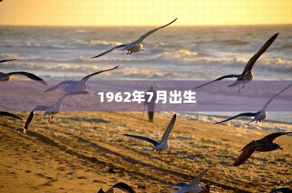1962年7月出生