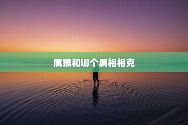 属猴和哪个属相相克
