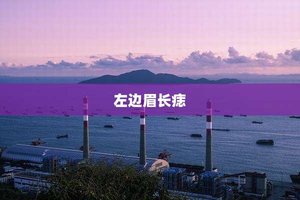 左边眉长痣