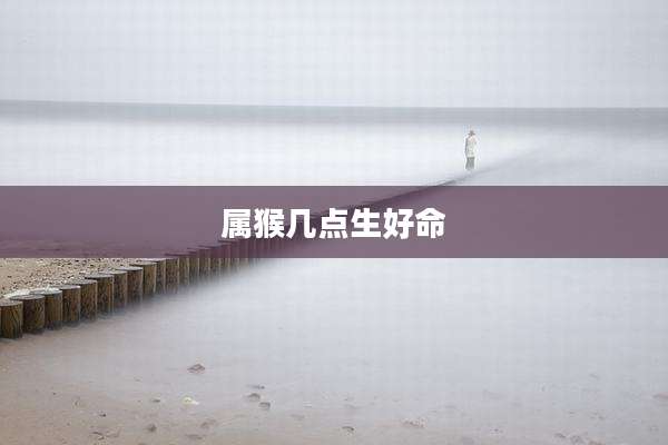 属猴几点生好命