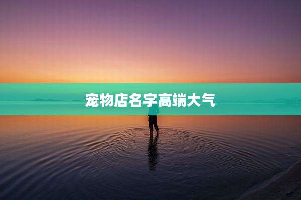 宠物店名字高端大气