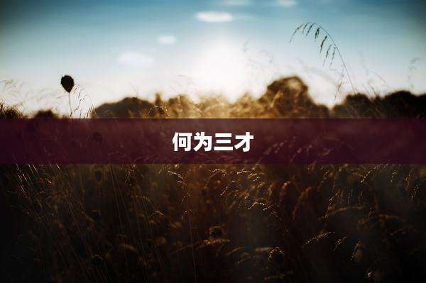 何为三才