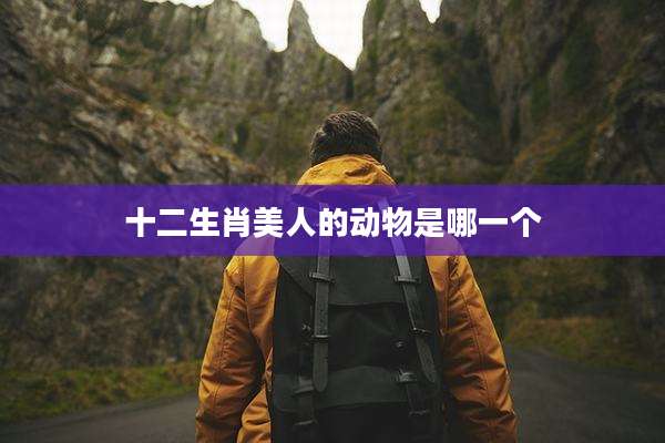 十二生肖美人的动物是哪一个