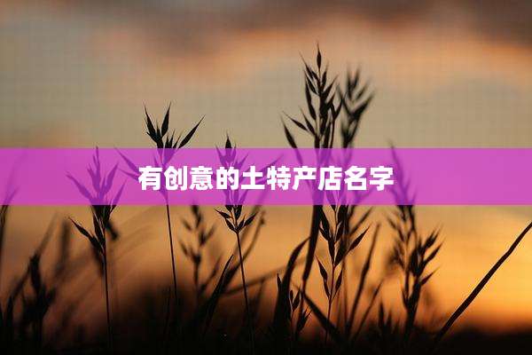 有创意的土特产店名字