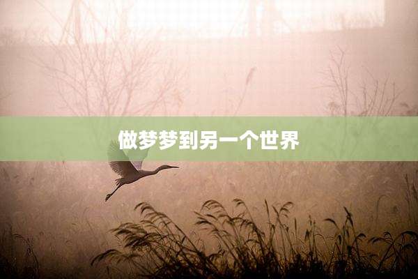 做梦梦到另一个世界