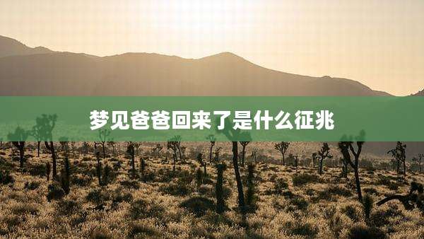 梦见爸爸回来了是什么征兆