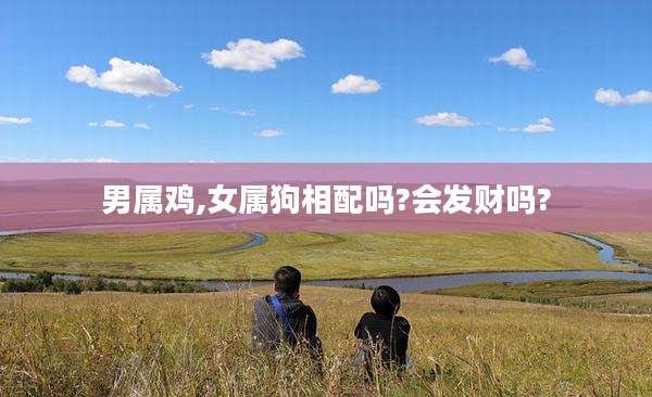 男属鸡,女属狗相配吗?会发财吗?