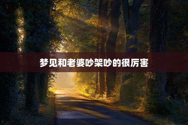 梦见和老婆吵架吵的很厉害