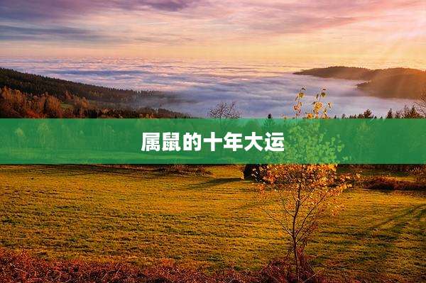 属鼠的十年大运