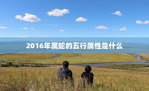 2016年属蛇的五行属性是什么