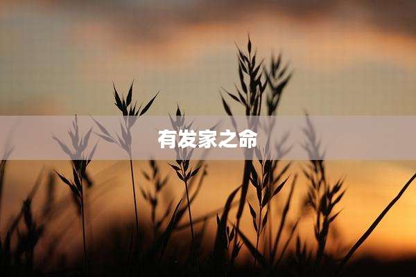 有发家之命