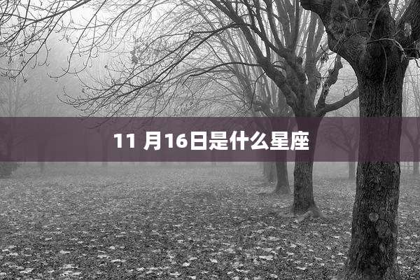 11 月16日是什么星座