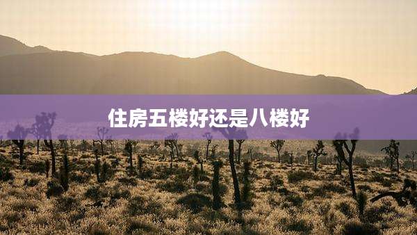 住房五楼好还是八楼好