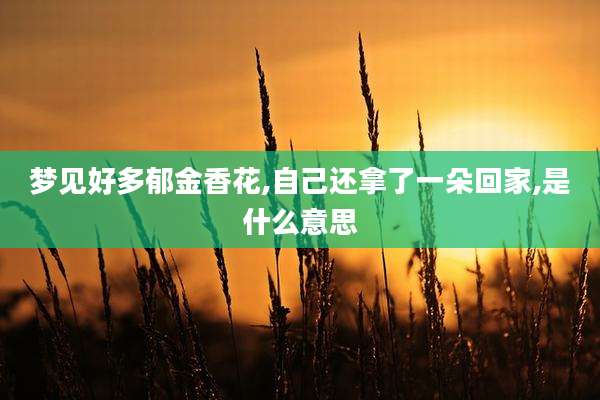 梦见好多郁金香花,自己还拿了一朵回家,是什么意思