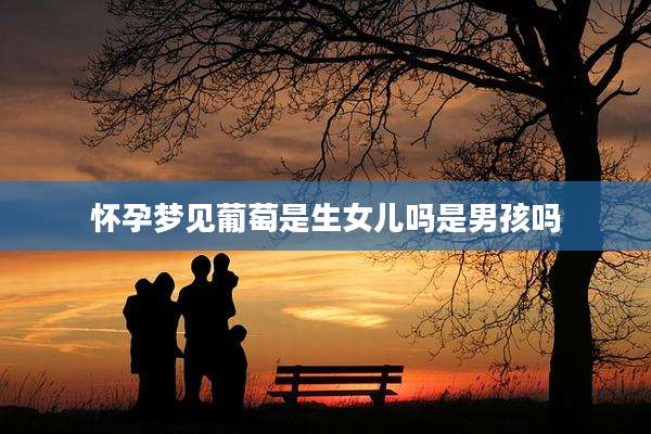 怀孕梦见葡萄是生女儿吗是男孩吗