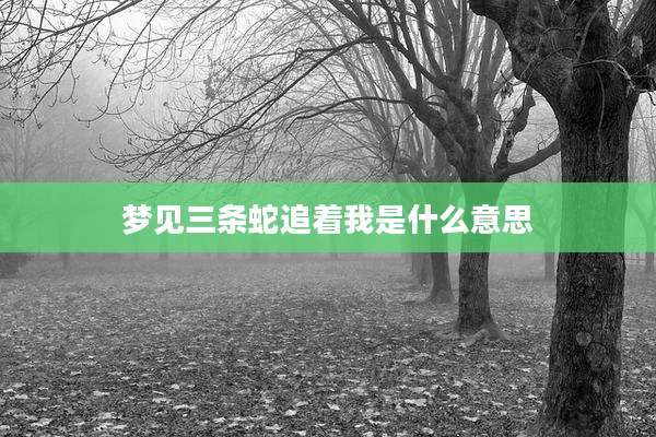 梦见三条蛇追着我是什么意思