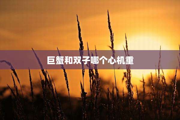 巨蟹和双子哪个心机重
