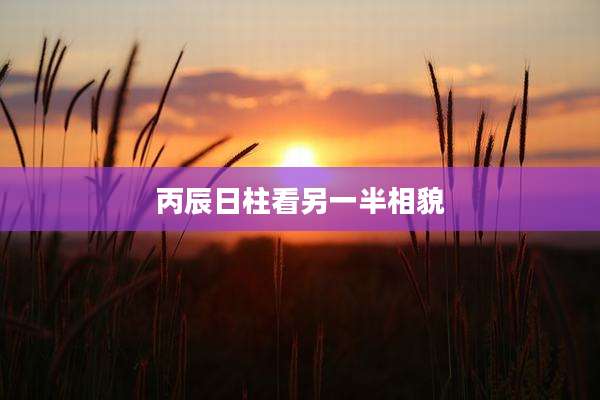丙辰日柱看另一半相貌
