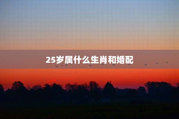 25岁属什么生肖和婚配