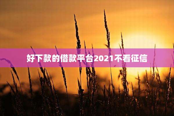 好下款的借款平台2021不看征信