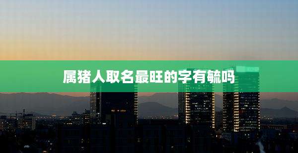 属猪人取名最旺的字有毓吗