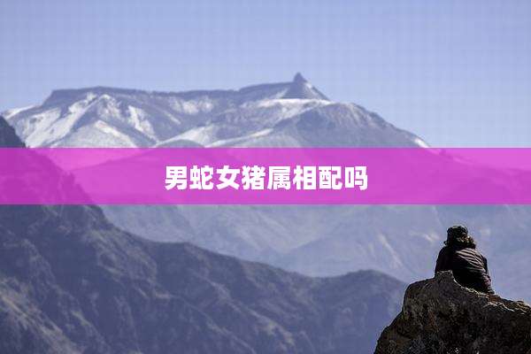 男蛇女猪属相配吗