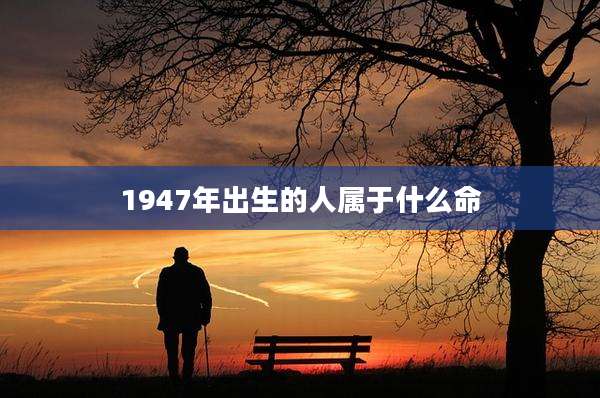 1947年出生的人属于什么命
