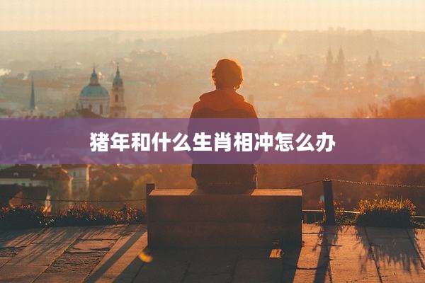 猪年和什么生肖相冲怎么办