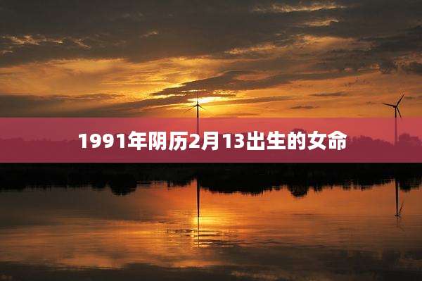 1991年阴历2月13出生的女命