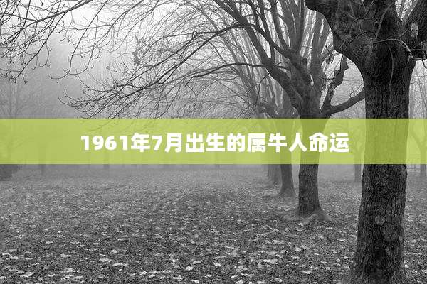 1961年7月出生的属牛人命运