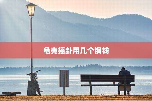 龟壳摇卦用几个铜钱
