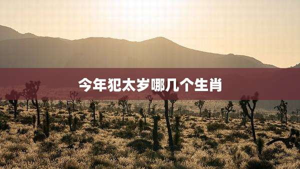 今年犯太岁哪几个生肖