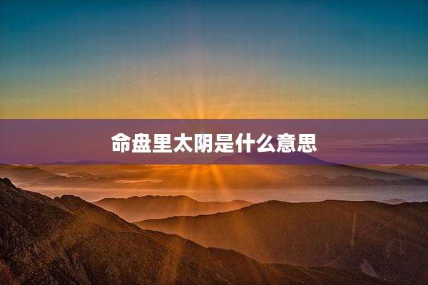 命盘里太阴是什么意思