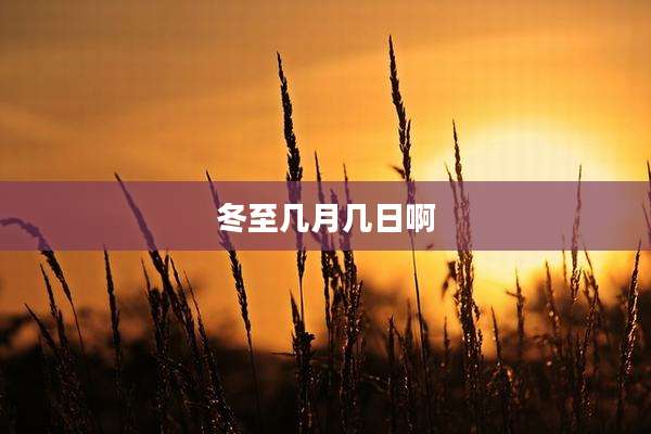 冬至几月几日啊