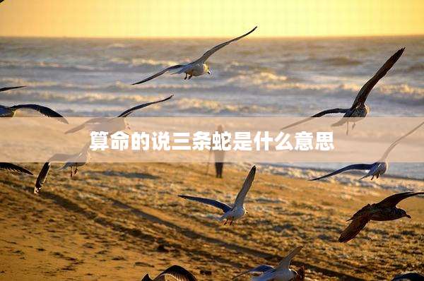 算命的说三条蛇是什么意思