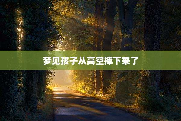 梦见孩子从高空摔下来了