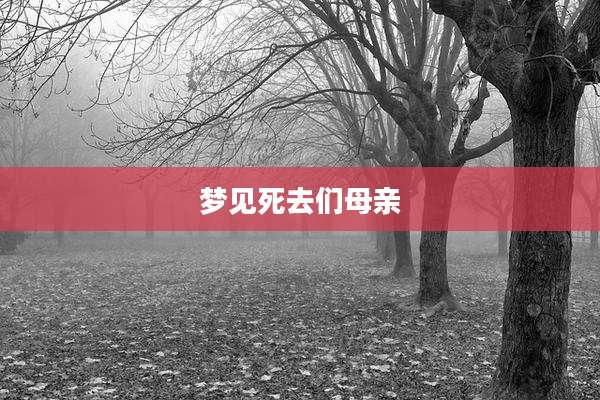 梦见死去们母亲