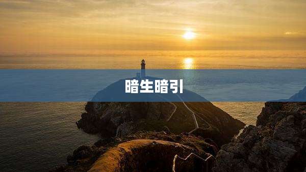 暗生暗引