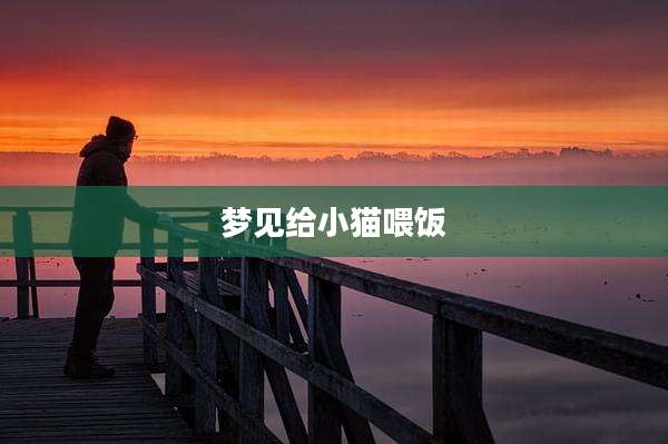 梦见给小猫喂饭