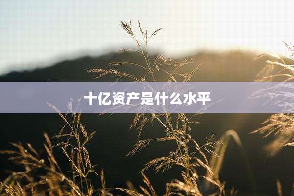 十亿资产是什么水平