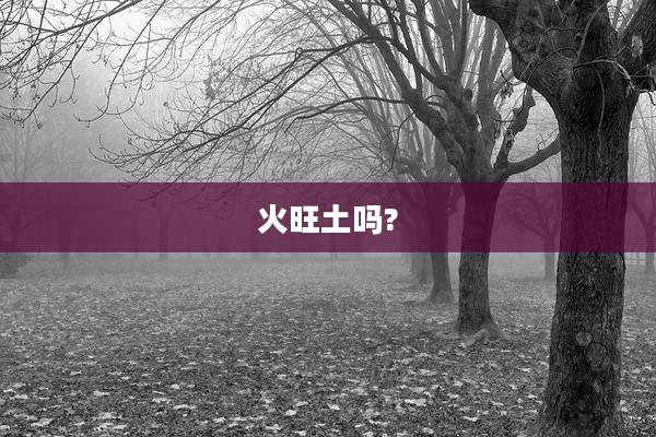 火旺土吗?