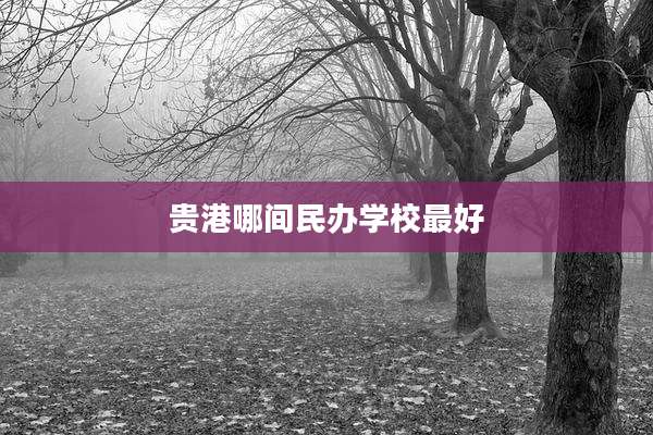贵港哪间民办学校最好