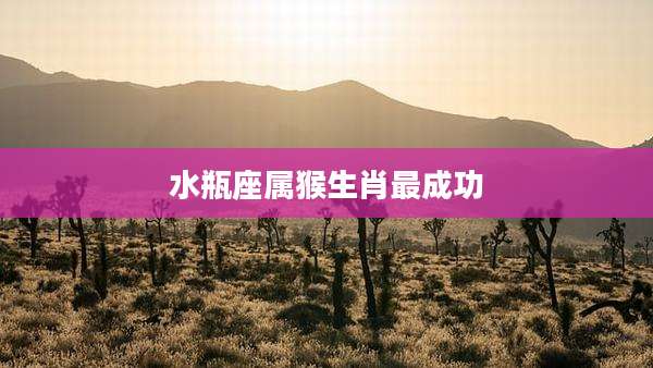 水瓶座属猴生肖最成功