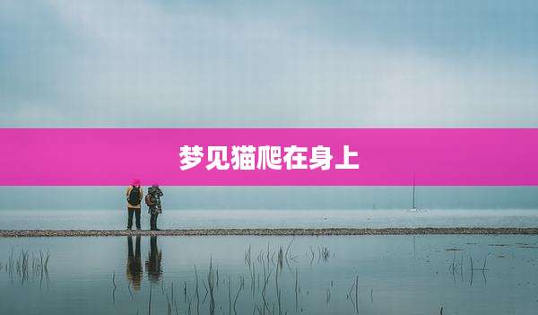 梦见猫爬在身上