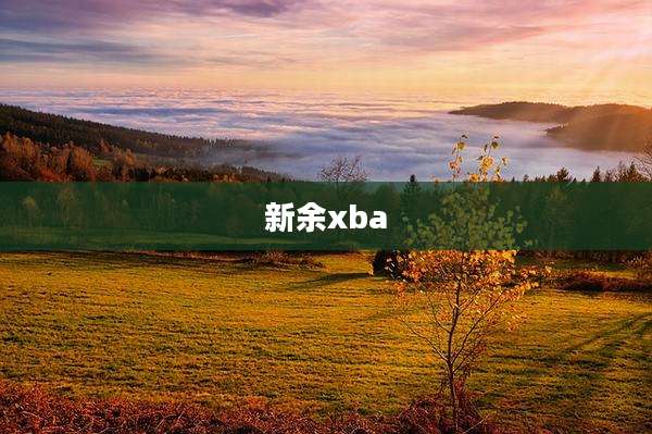 新余xba