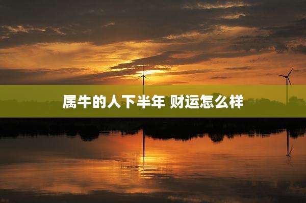 属牛的人下半年 财运怎么样