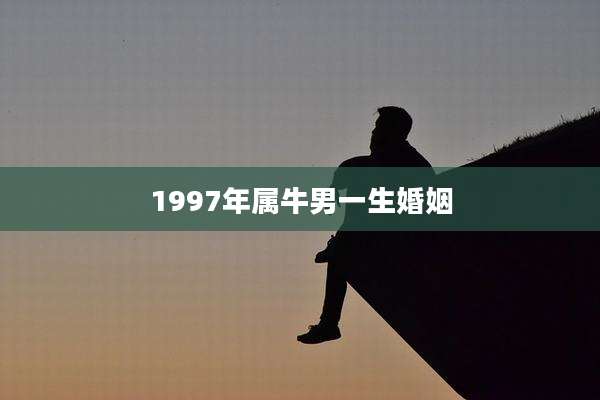 1997年属牛男一生婚姻