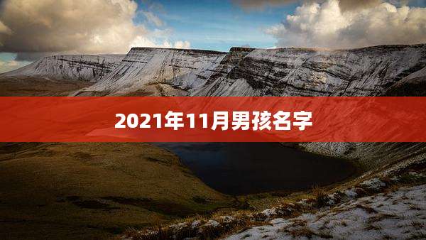 2021年11月男孩名字