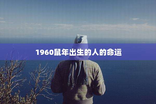 1960鼠年出生的人的命运