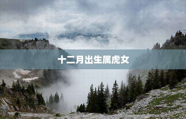 十二月出生属虎女